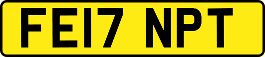 FE17NPT