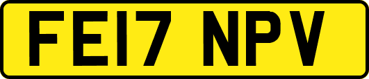 FE17NPV