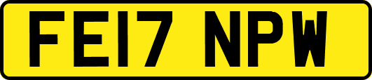 FE17NPW