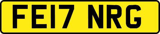 FE17NRG
