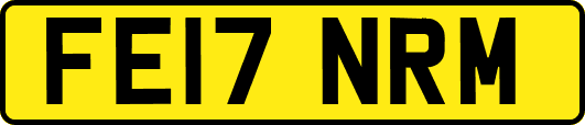 FE17NRM