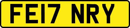 FE17NRY
