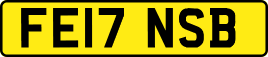 FE17NSB