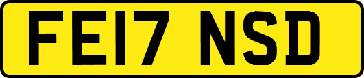 FE17NSD
