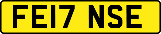 FE17NSE