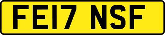 FE17NSF