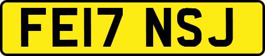 FE17NSJ