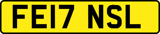 FE17NSL