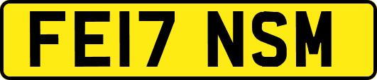 FE17NSM