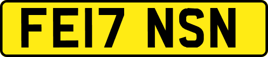 FE17NSN