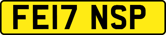 FE17NSP