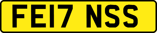 FE17NSS