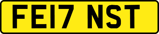 FE17NST