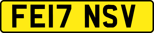 FE17NSV