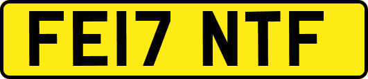 FE17NTF