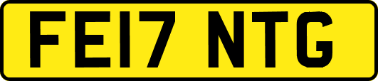 FE17NTG