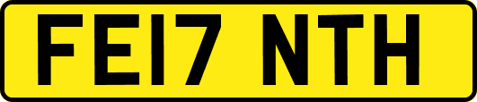 FE17NTH