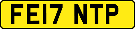 FE17NTP