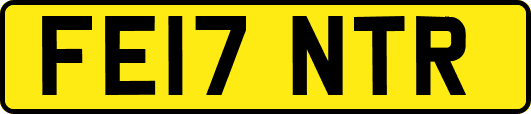 FE17NTR