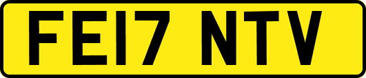 FE17NTV