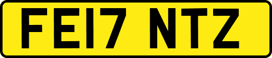 FE17NTZ