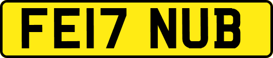 FE17NUB