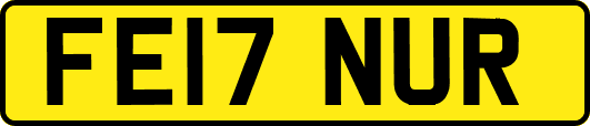 FE17NUR