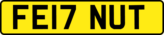 FE17NUT