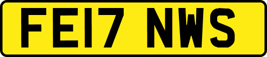 FE17NWS