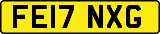 FE17NXG