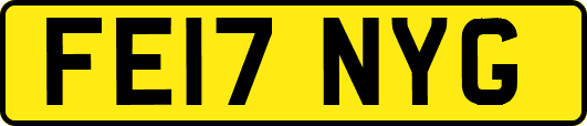 FE17NYG