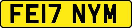 FE17NYM