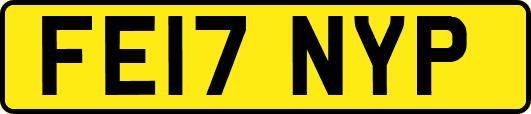 FE17NYP