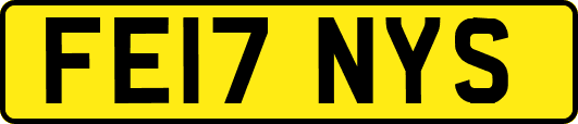 FE17NYS