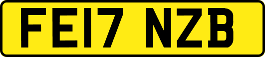 FE17NZB