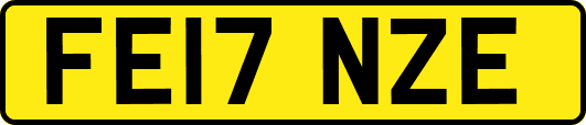 FE17NZE