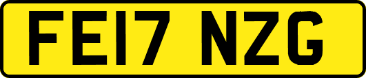 FE17NZG