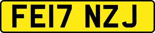 FE17NZJ