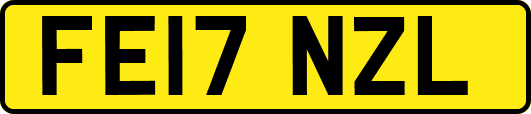 FE17NZL