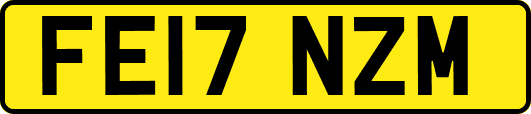 FE17NZM