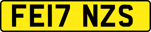 FE17NZS