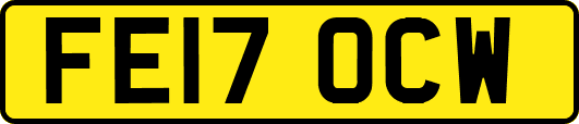 FE17OCW