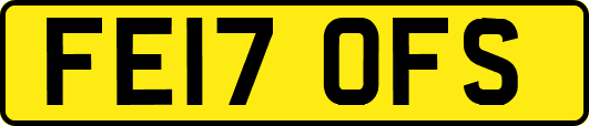 FE17OFS