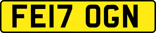 FE17OGN