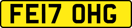 FE17OHG