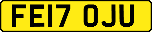 FE17OJU