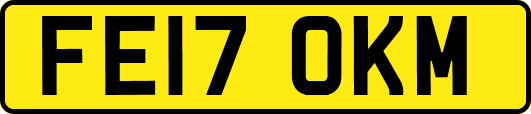 FE17OKM