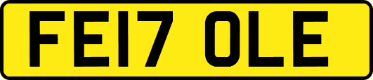FE17OLE