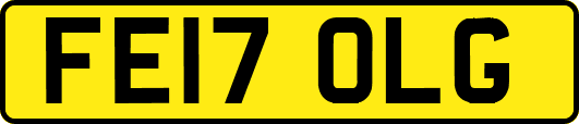 FE17OLG
