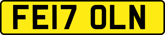 FE17OLN
